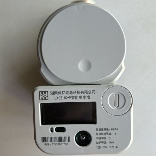威胜威铭智能水表lxsz感应式 射频卡冷水表dn20